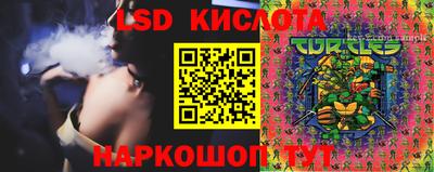 крисы Тула