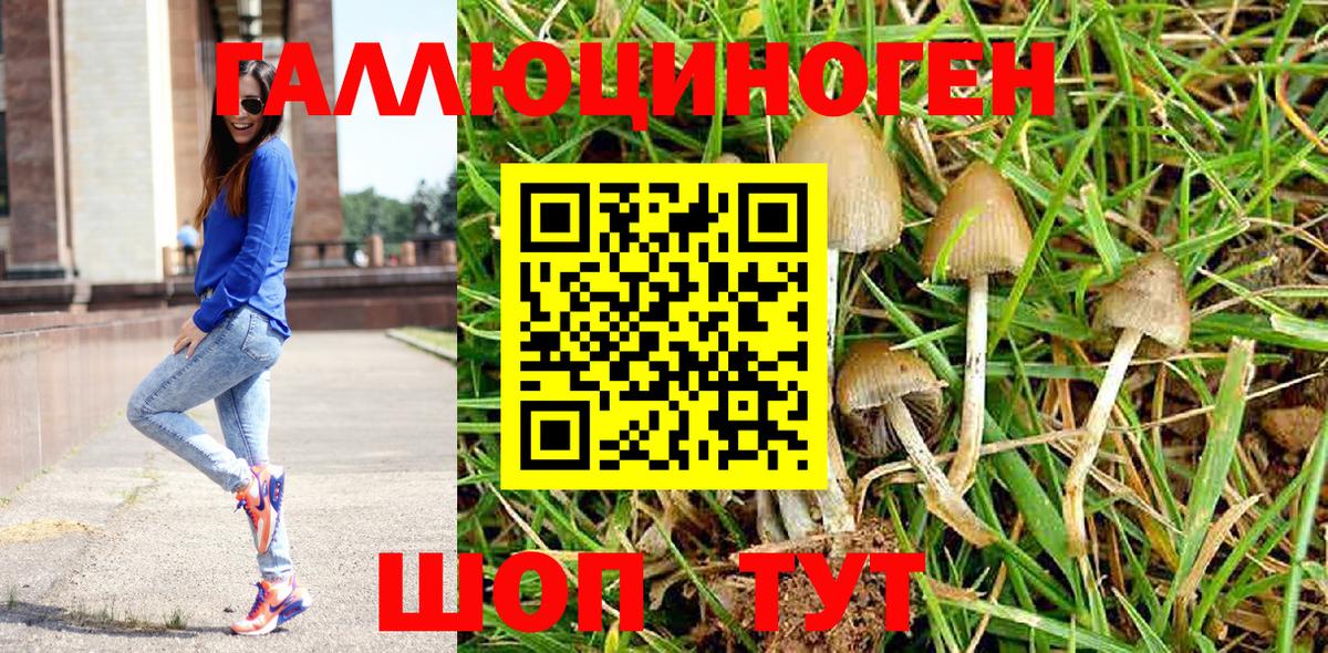 Галлюциногенные грибы прущие грибы Вязники
