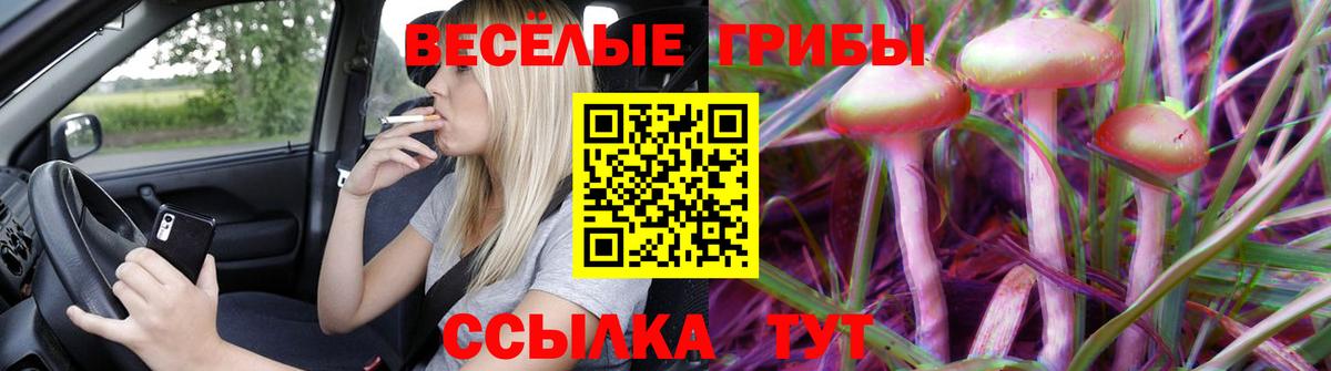 Вязники  Галлюциногенные грибы Magic Shrooms  Вход с VPN 